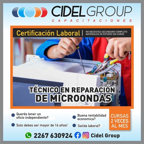 TÉCNICO  EN  REPARACIÓN  DE  MICROONDAS