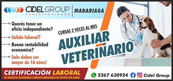 AUXILIAR   VETERINARIO
