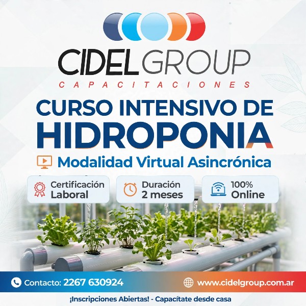 HIDROPONIA